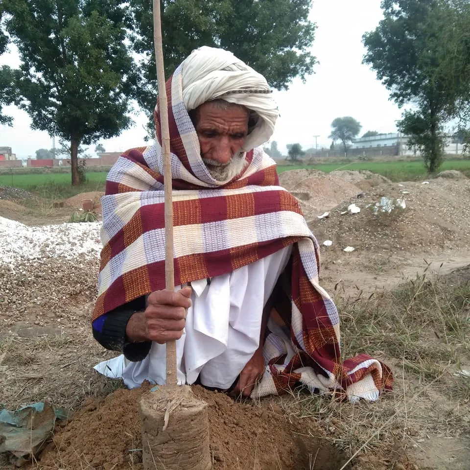 Green Seekers Activity